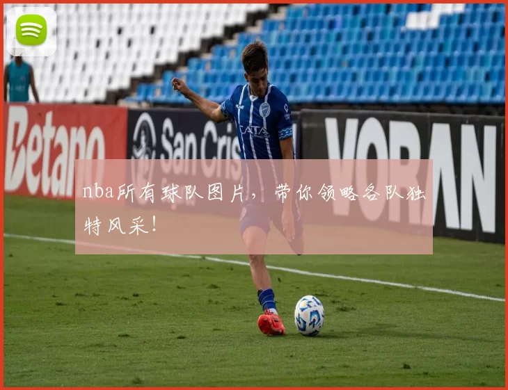 nba所有球队图片，带你领略各队独特风采！
