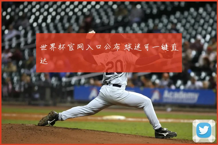 世界杯官网入口公布 球迷可一键直达