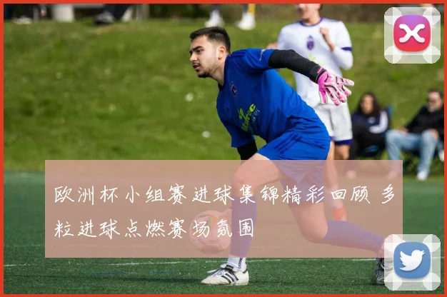欧洲杯小组赛进球集锦精彩回顾 多粒进球点燃赛场氛围